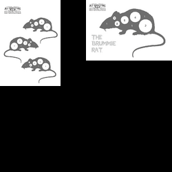 Rats